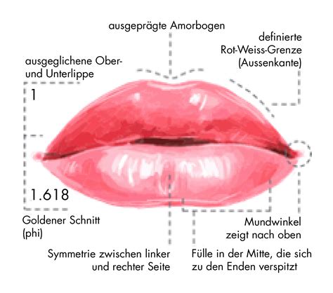 sterrenbeeld lippen|Lippenformen und ihre Bedeutung